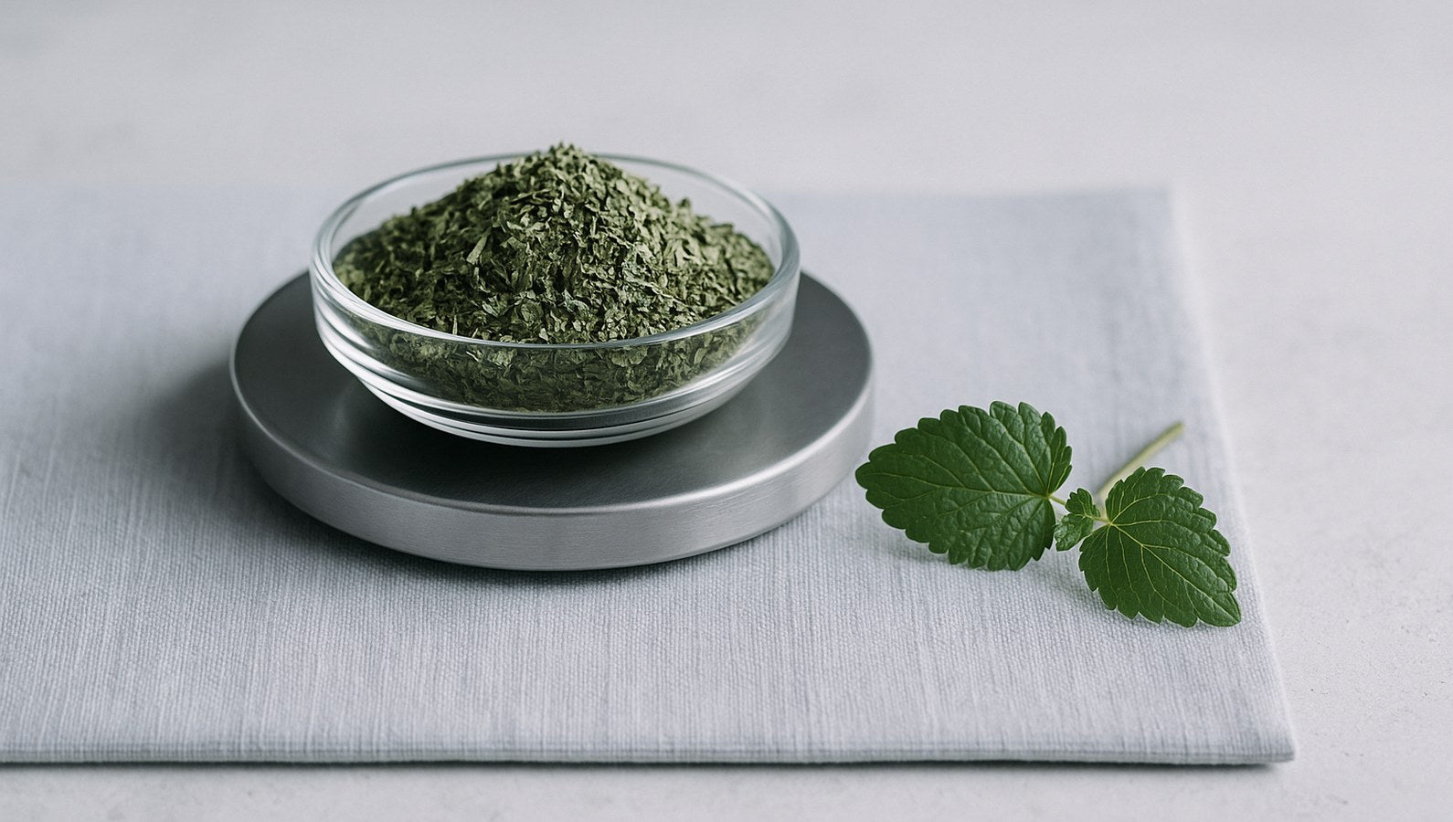 Lemon Balm